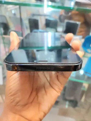 Apple iPhone 12 Pro Max 256 GB Blue