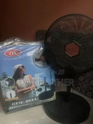 Standing Fan