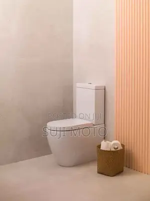 Non Conceal Toilet