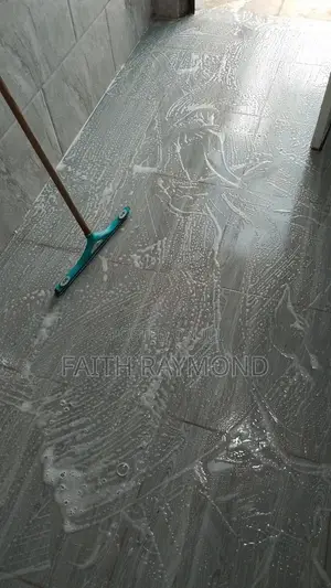 Cleaning Service
