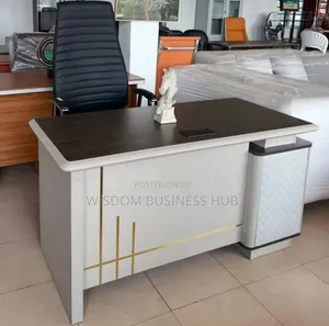 Giorgetti Erasimo Executive Desk