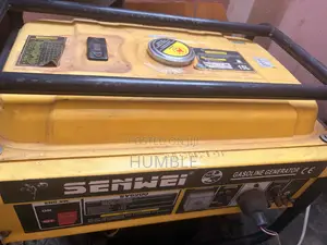 Few Months Used Generator