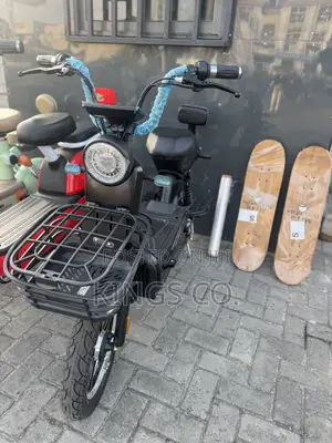 Brand New Premium Folding Electric Bicycle