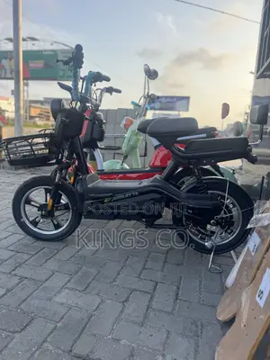 Brand New Premium Folding Electric Bicycle