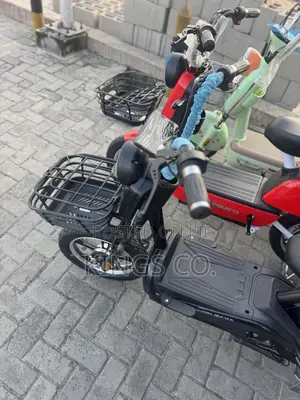 Brand New Premium Folding Electric Bicycle