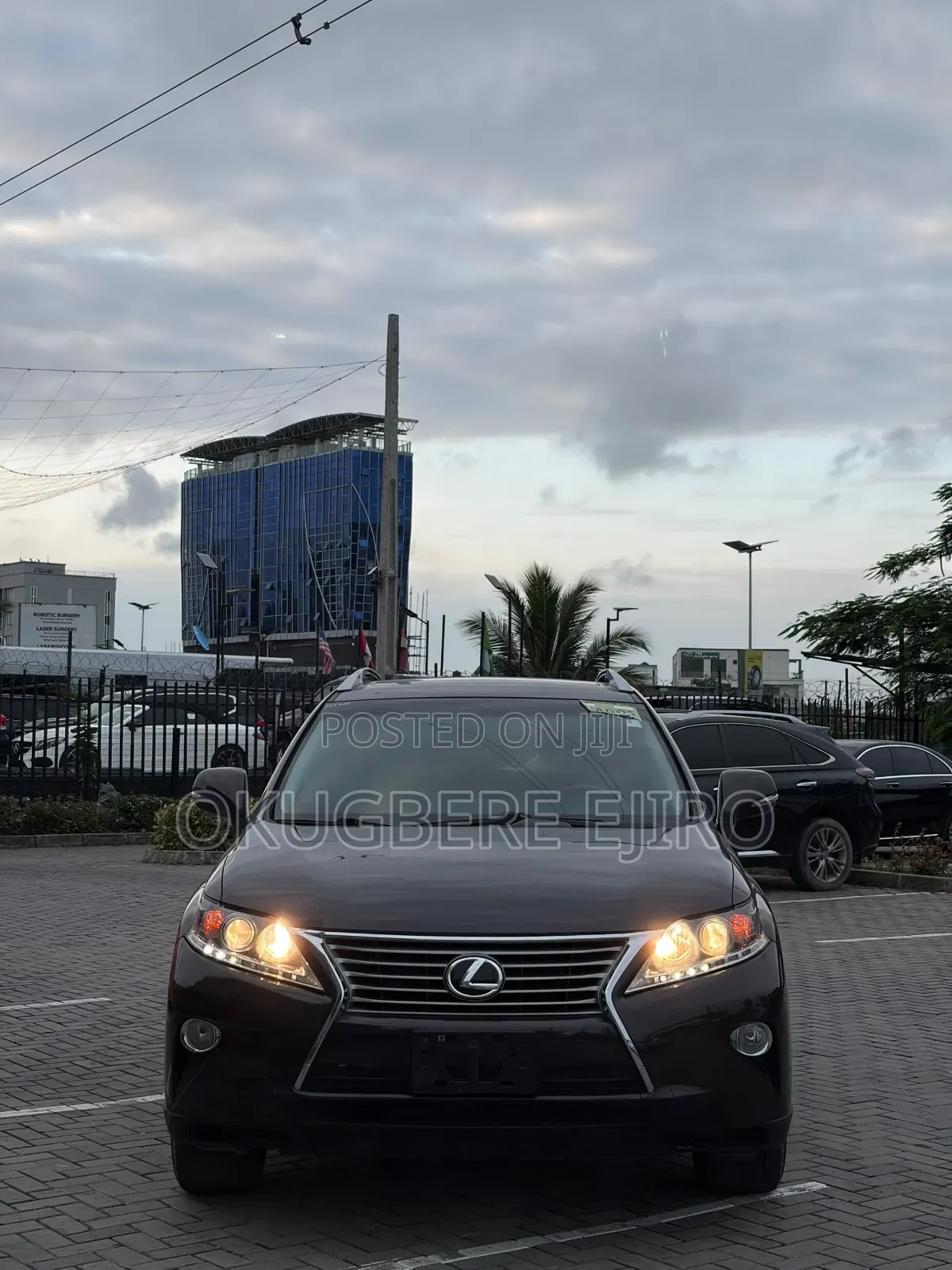 Lexus RX 2013 Black