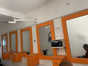 Salon Mirror