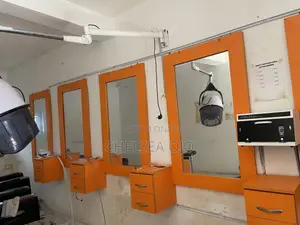Salon Mirror