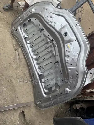 LexusNX 200 2020 Bonnet Neat One