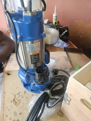 Dafu 1hp Sewage Pump