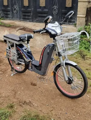 Electric Bicycle