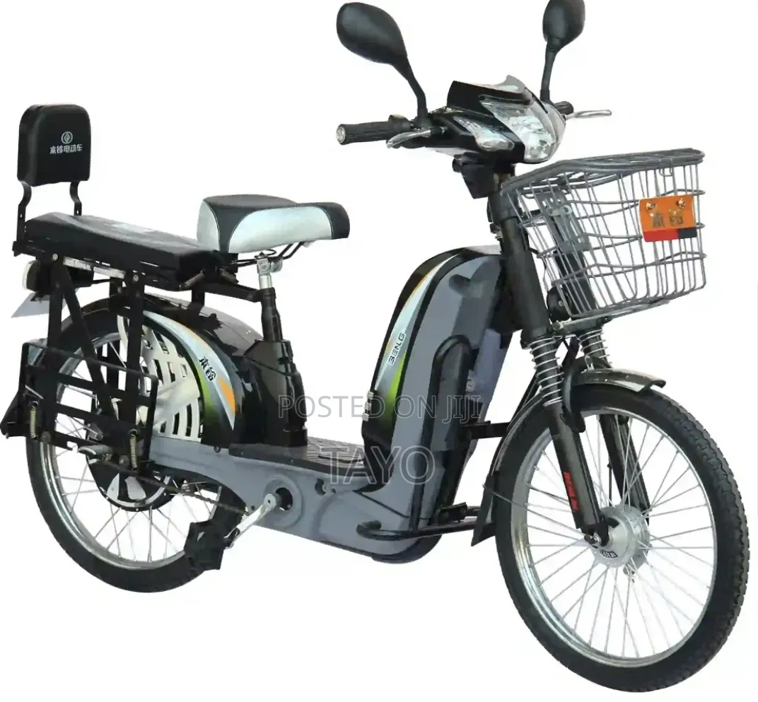 Electric Bicycle