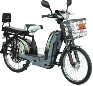 Electric Bicycle