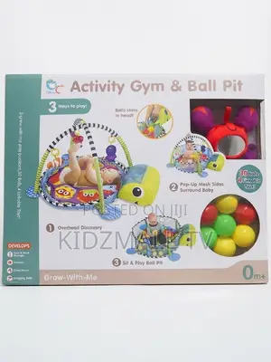 Activity Gym and Ball Pit