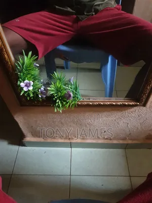 Plastic Chair