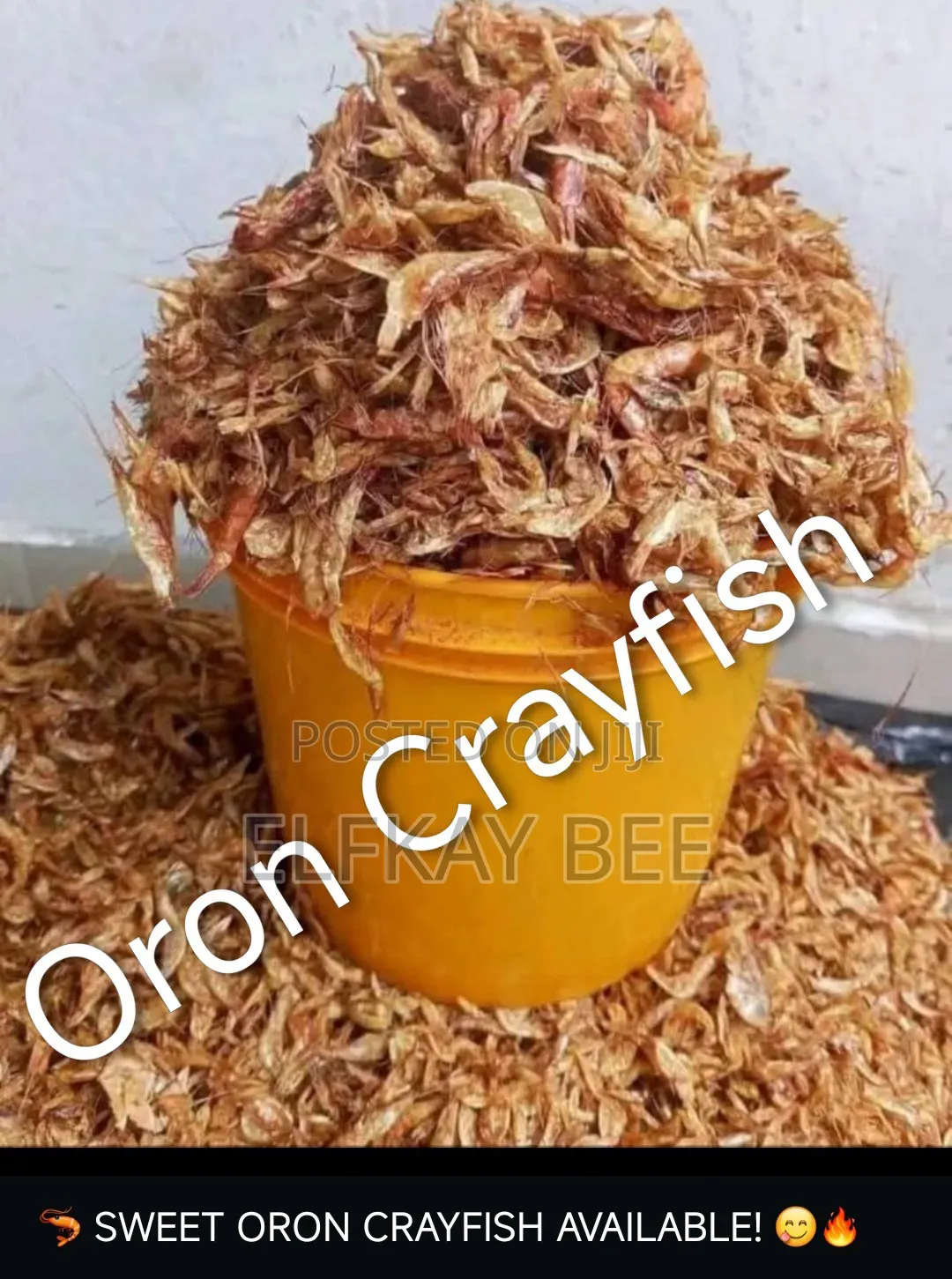 Oron Crayfish