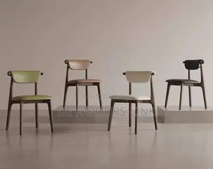 Beautiful Dinning Chair