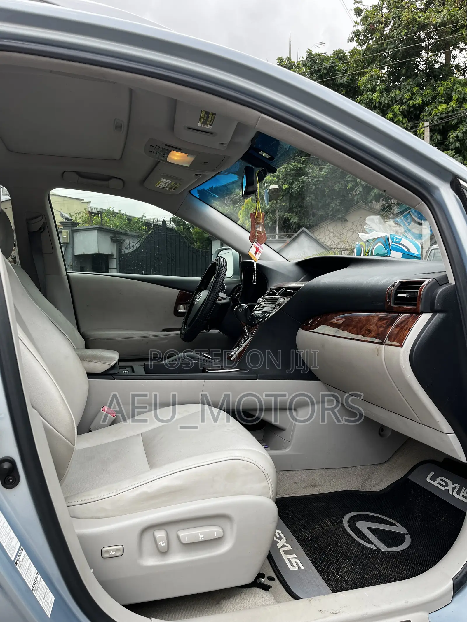 Lexus RX 2010 Blue