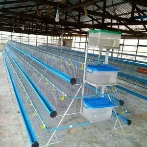 Trust in the Lord Poultry Service