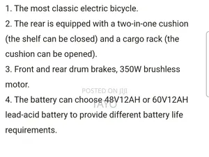 Electric Bicycle