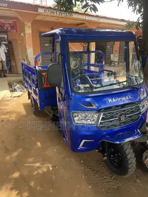 New Tricycle 2025 Blue