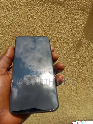 Apple iPhone 11 Pro Max 256 GB Gray