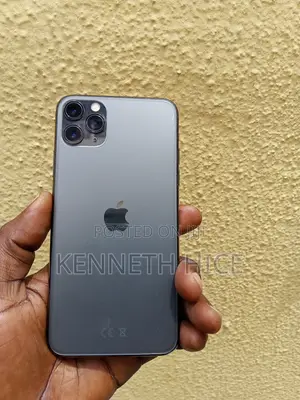 Apple iPhone 11 Pro Max 256 GB Gray