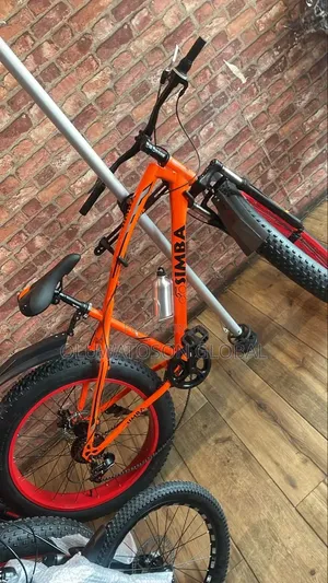 Fat Tire Bicycle