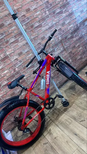Fat Tire Bicycle (Cruiser Bicycles)