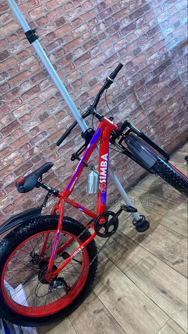 Fat Tire Bicycle (Cruiser Bicycles)