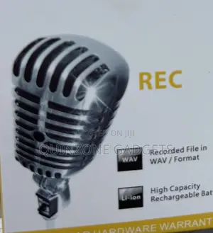 Mini Digital Voice Recorder