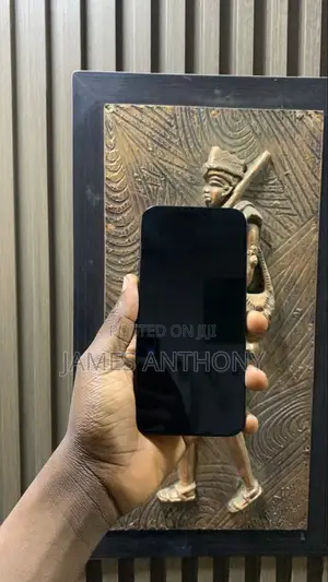 Apple iPhone 15 Pro Max 256 GB Gray