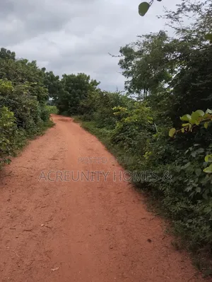 50 Acres of Land for Sale at Alofe Village, Iseyin Lga Oyo State