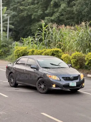 Toyota Corolla 2009 Gray
