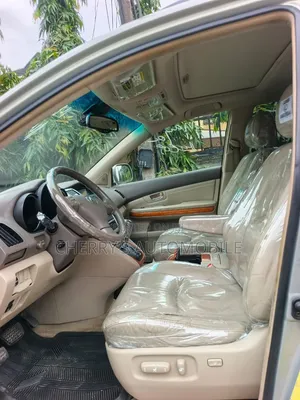 Lexus RX 2005 Gray
