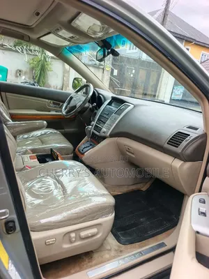 Lexus RX 2005 Gray