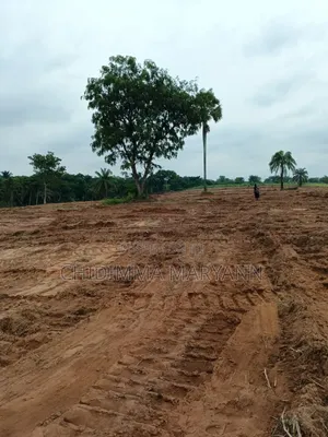 Landed Property