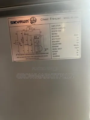 Skyrun 200l Chest Freezer-Bd 200a|grey