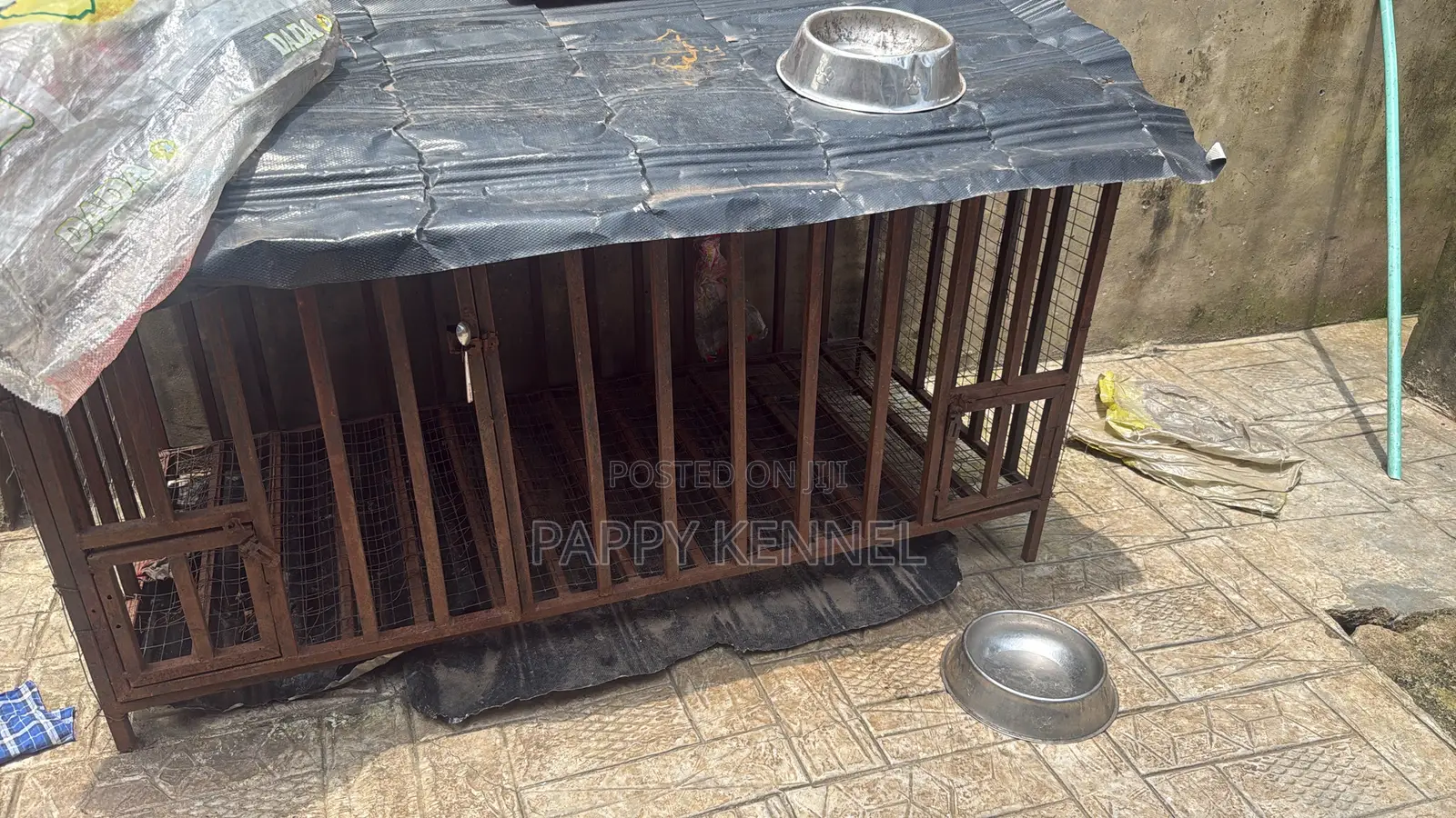 Big and Small Dog Cage