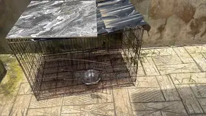 Big and Small Dog Cage