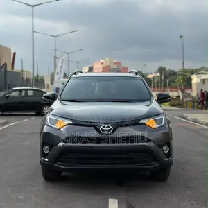 Toyota RAV4 XLE 4dr SUV AWD (2.5L 4cyl 6A) 2018 Gray