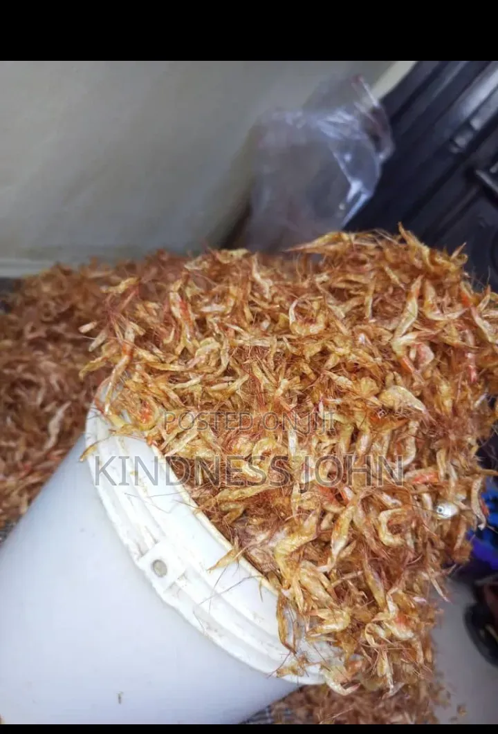 Fresh Oron Crayfish