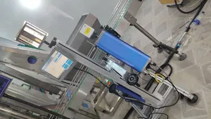 Automatic Laser Engraving Date Coding Machine