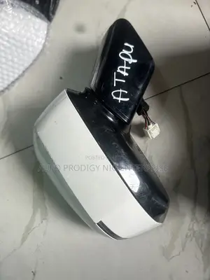 Hyundai Santafe 2025 Side Mirror
