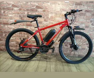 Electric Bicycle (E-Bike)