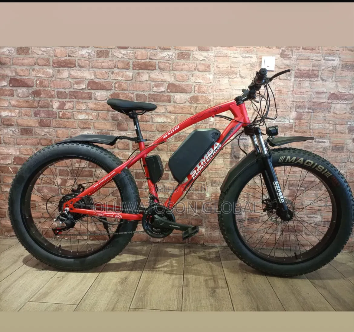 Electric Bicycle (E-Bike)