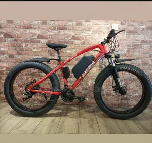 Electric Bicycle (E-Bike)