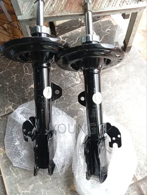 Shock Absorber