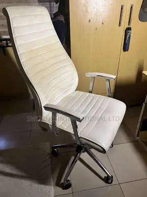 Neatly Used Office Hydraulic Chair