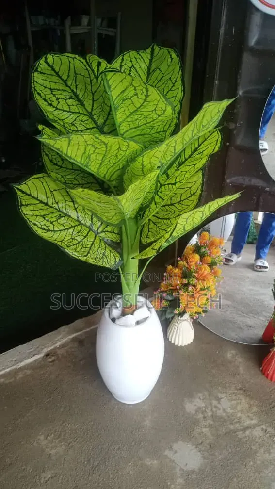 Flower Decor